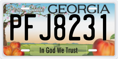 GA license plate PFJ8231