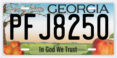 GA license plate PFJ8250