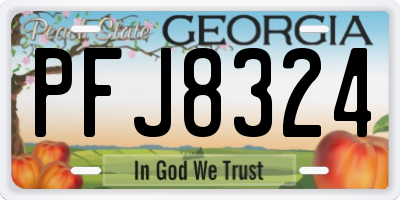 GA license plate PFJ8324