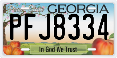 GA license plate PFJ8334