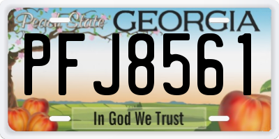 GA license plate PFJ8561