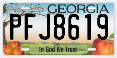 GA license plate PFJ8619