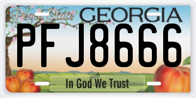 GA license plate PFJ8666