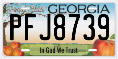 GA license plate PFJ8739