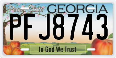 GA license plate PFJ8743