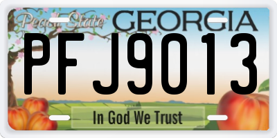 GA license plate PFJ9013