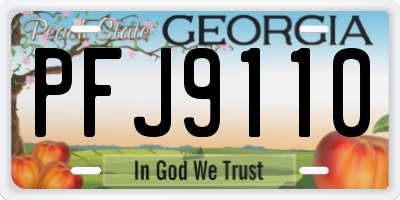 GA license plate PFJ9110