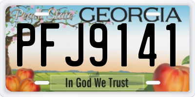 GA license plate PFJ9141