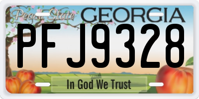 GA license plate PFJ9328