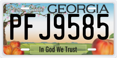 GA license plate PFJ9585