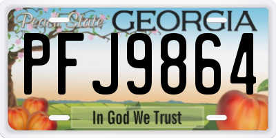 GA license plate PFJ9864