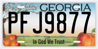 GA license plate PFJ9877
