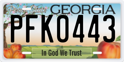 GA license plate PFK0443