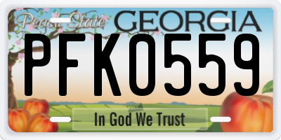 GA license plate PFK0559