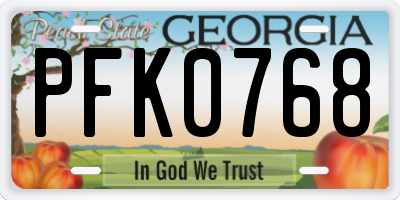 GA license plate PFK0768