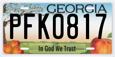 GA license plate PFK0817