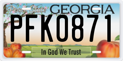 GA license plate PFK0871