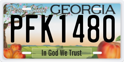 GA license plate PFK1480