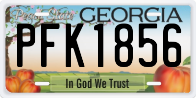 GA license plate PFK1856