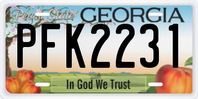 GA license plate PFK2231