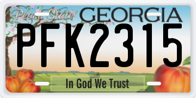 GA license plate PFK2315