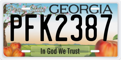 GA license plate PFK2387