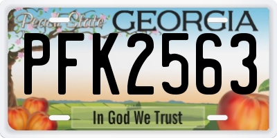 GA license plate PFK2563