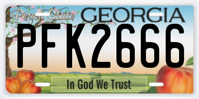 GA license plate PFK2666