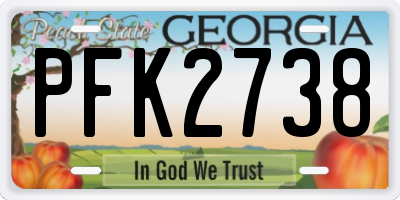 GA license plate PFK2738