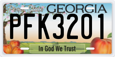 GA license plate PFK3201