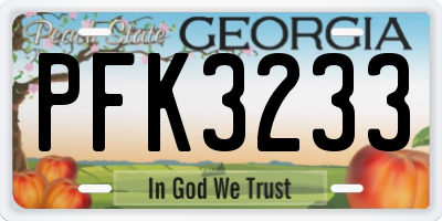GA license plate PFK3233