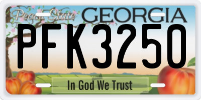 GA license plate PFK3250
