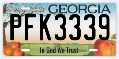 GA license plate PFK3339