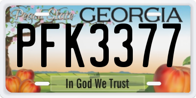 GA license plate PFK3377