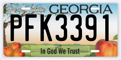 GA license plate PFK3391