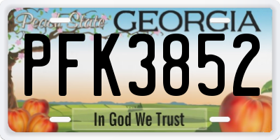 GA license plate PFK3852