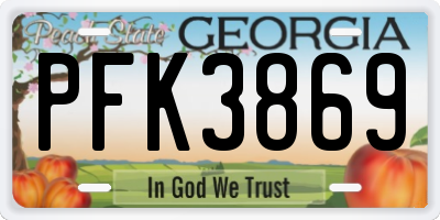 GA license plate PFK3869