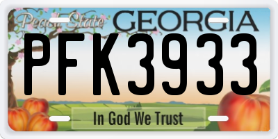 GA license plate PFK3933