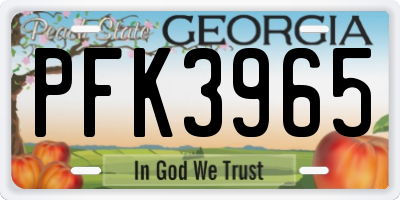 GA license plate PFK3965