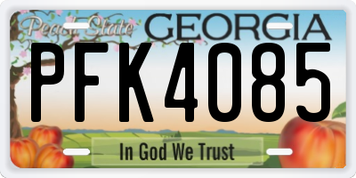 GA license plate PFK4085