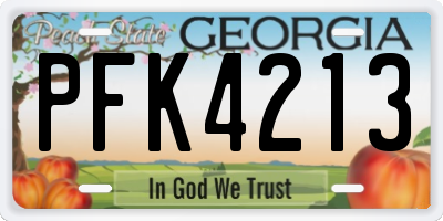 GA license plate PFK4213