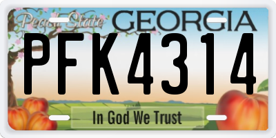 GA license plate PFK4314