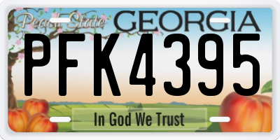 GA license plate PFK4395