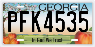 GA license plate PFK4535
