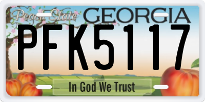 GA license plate PFK5117
