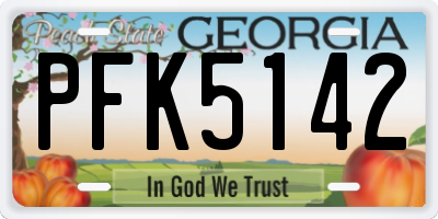 GA license plate PFK5142