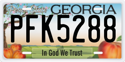 GA license plate PFK5288