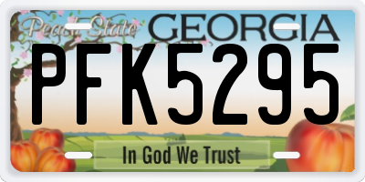 GA license plate PFK5295