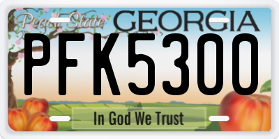 GA license plate PFK5300