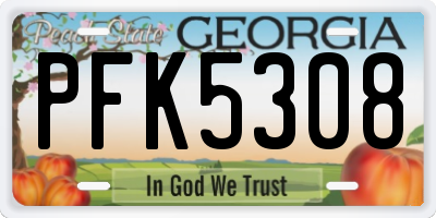 GA license plate PFK5308